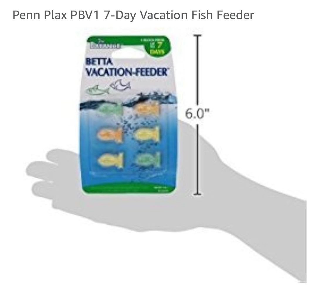 Free Betta Fish Vacation Feeder