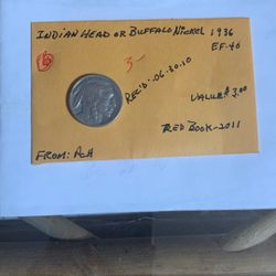 1936 Buffalo Nickel