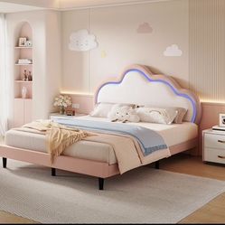 BED FRAME QUEEN SIZE WITH LEF LIGHTING BRAND NEW IN BOX!!!