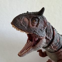 Hammond collection Carnotaurus