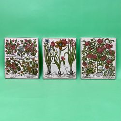 Vintage Botanical Prints