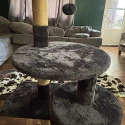 Cat Tower