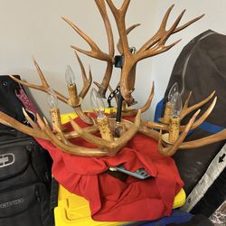 Deer Antler Chandelier 