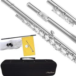Flute! Nickel Silver Plated, Closed Hole C - Flute With Case