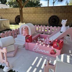 Berry first Birthday Soft Play