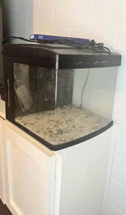 29 gallon biocube