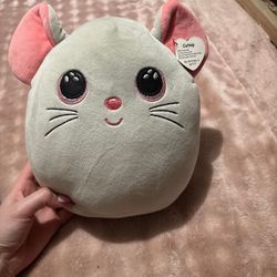 Mouse Squish- a-boo 