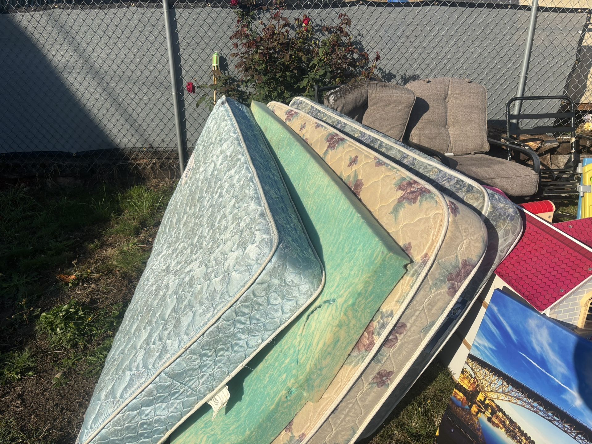 3 Free Twin Mattresses And Foam One.