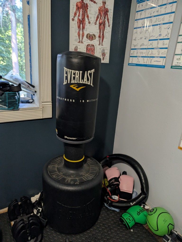 Floor Punching Bag