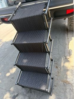 car dog steps