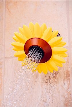 Sunflower Showerhead