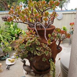 Vintage Terracotta Strawberry Tower Planter – 13 Pockets with Mature Succulents