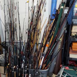 Fresh and Saltwater Fishing Rods