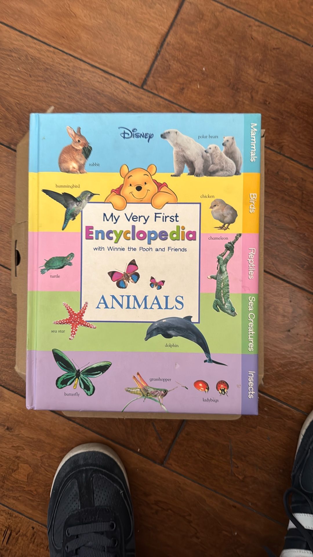 First Encyclopedia Animals Good Condition 