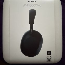 Sony XM6 