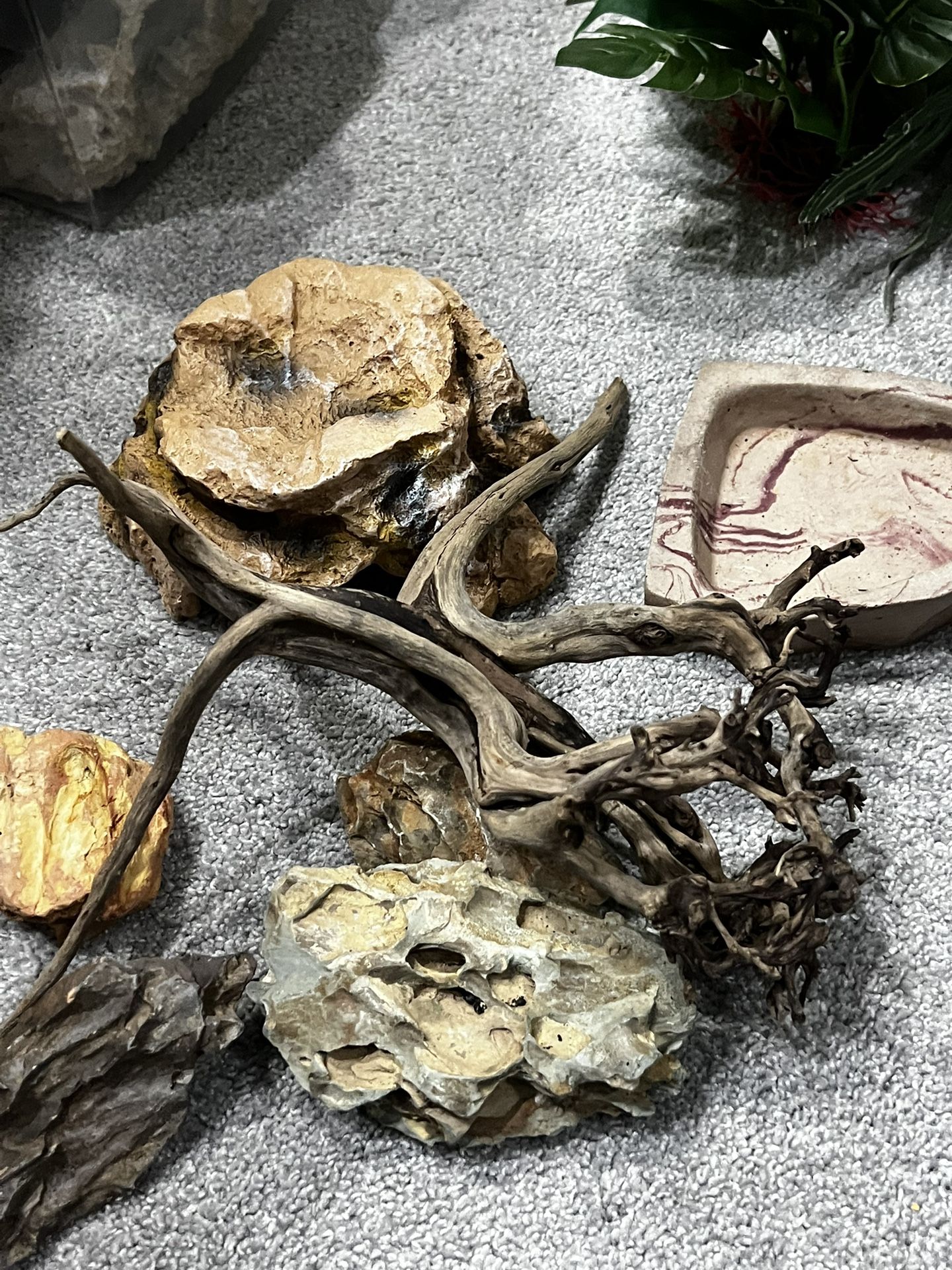 Aquarium Supplies For Fish