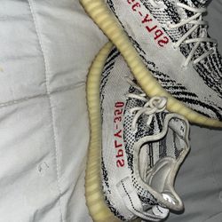 Yeezy Zebra