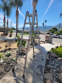 Little giant ladder