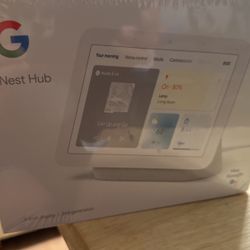 Google Nest Hub