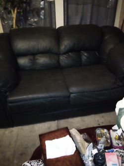 Dark Green Couches