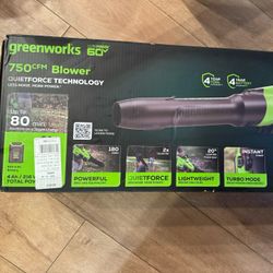 Greenworks Leaf Blower