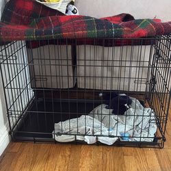 Medium Dog Crate 29.5” L x 18.5” W x 21.5” H only used for 1 month