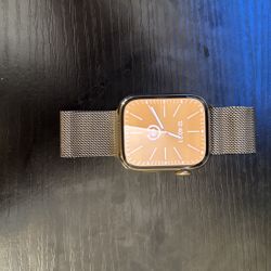 Apple Watch S9 (Stainless Steel 45mm) Cellular+GPS