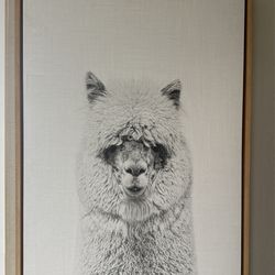 Llama Frame