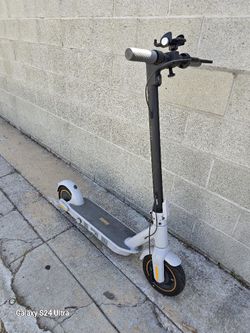 Segway Scooter