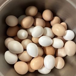Eggs by dozen