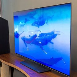 LG OLED 55 Inch TV