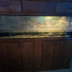 125 Gallon Aquarium can be used with water or dry