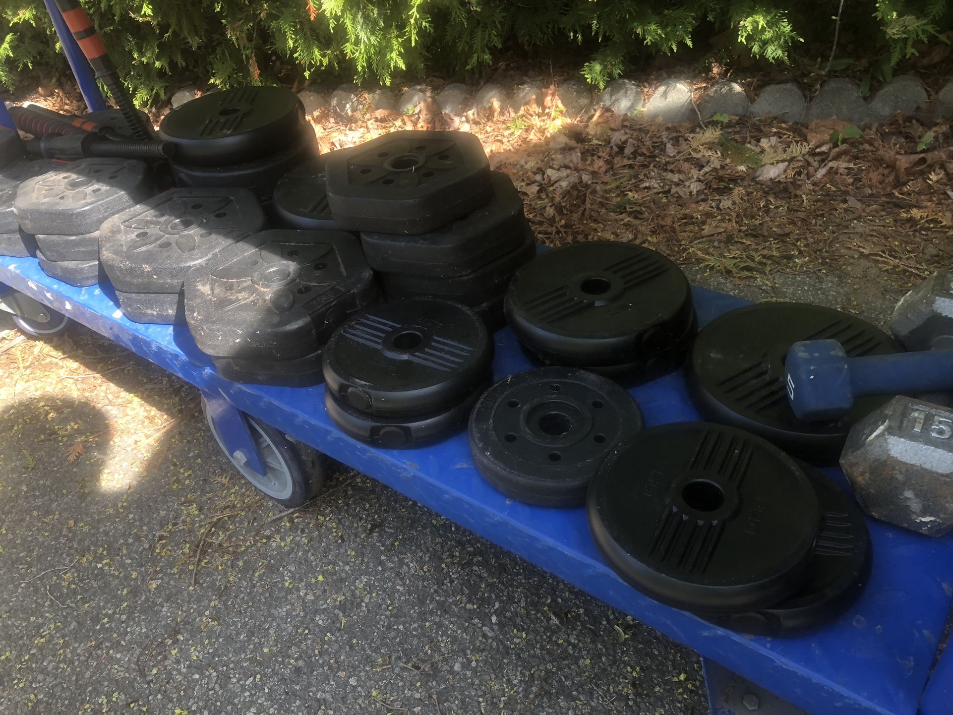 Gym weights