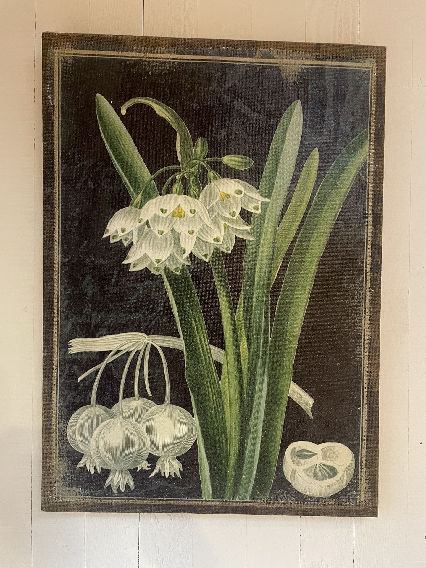 Floral Wall Art