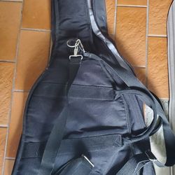 Snug Fit Guitar Carrier Case