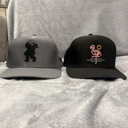 2 Waggle Hats