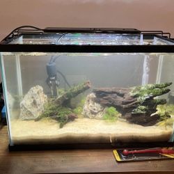10 Gal Fish Tanks 