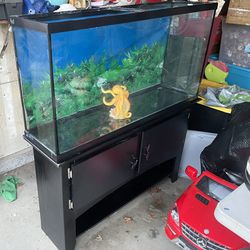 60 Gallon Fish Tank