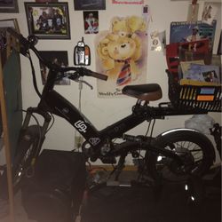 Electric Bike