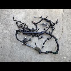 01-05 Honda Civic Engine Harness