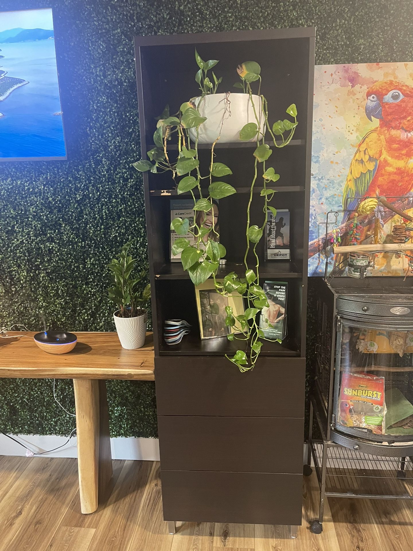 Office Shelves With Two Drawers