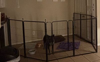Pet playpen for dogs  8 planel