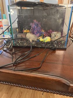 LED 5-Gallon Aquarium With Supplies