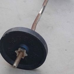 Curl Bar