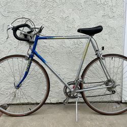 Schwinn World Sport