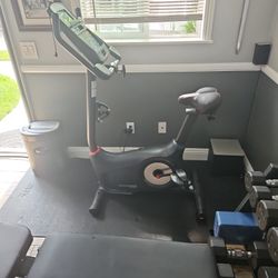 Schwinn 170 Exercise Bike