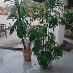 Bamboo Fake Plastic Faux 7 Foot