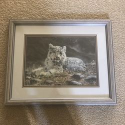 Charles Grace Baby Snow Leopard Framed Print