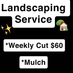 Lawn Mower 