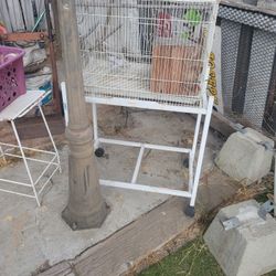 Bird  Cage 